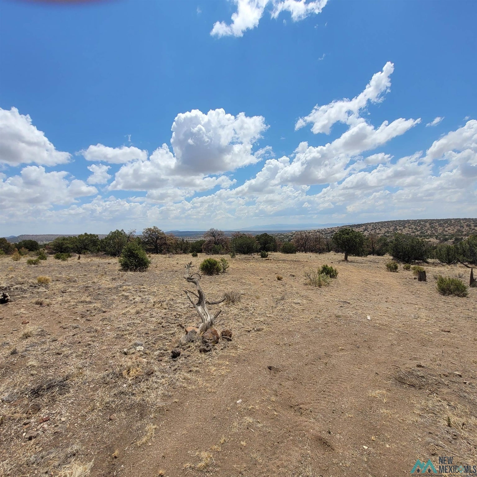40 East Rock Springs Loop Datil, NM 87821 - Photo 54 of 90 Gallery Image 54