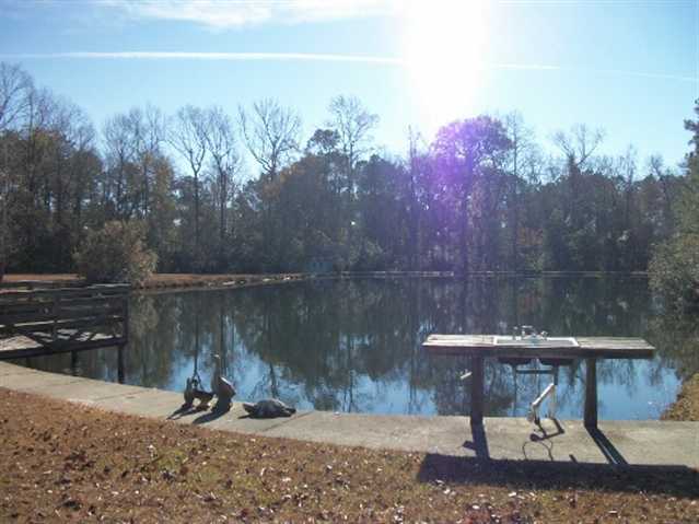 969 Fox Hollow Road Conway, SC 29526 - Photo 9 of 10 Gallery Image 9