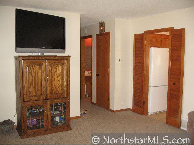 8386 Harkness Road Cottage Grove, MN 55016 - Photo 5 of 10
