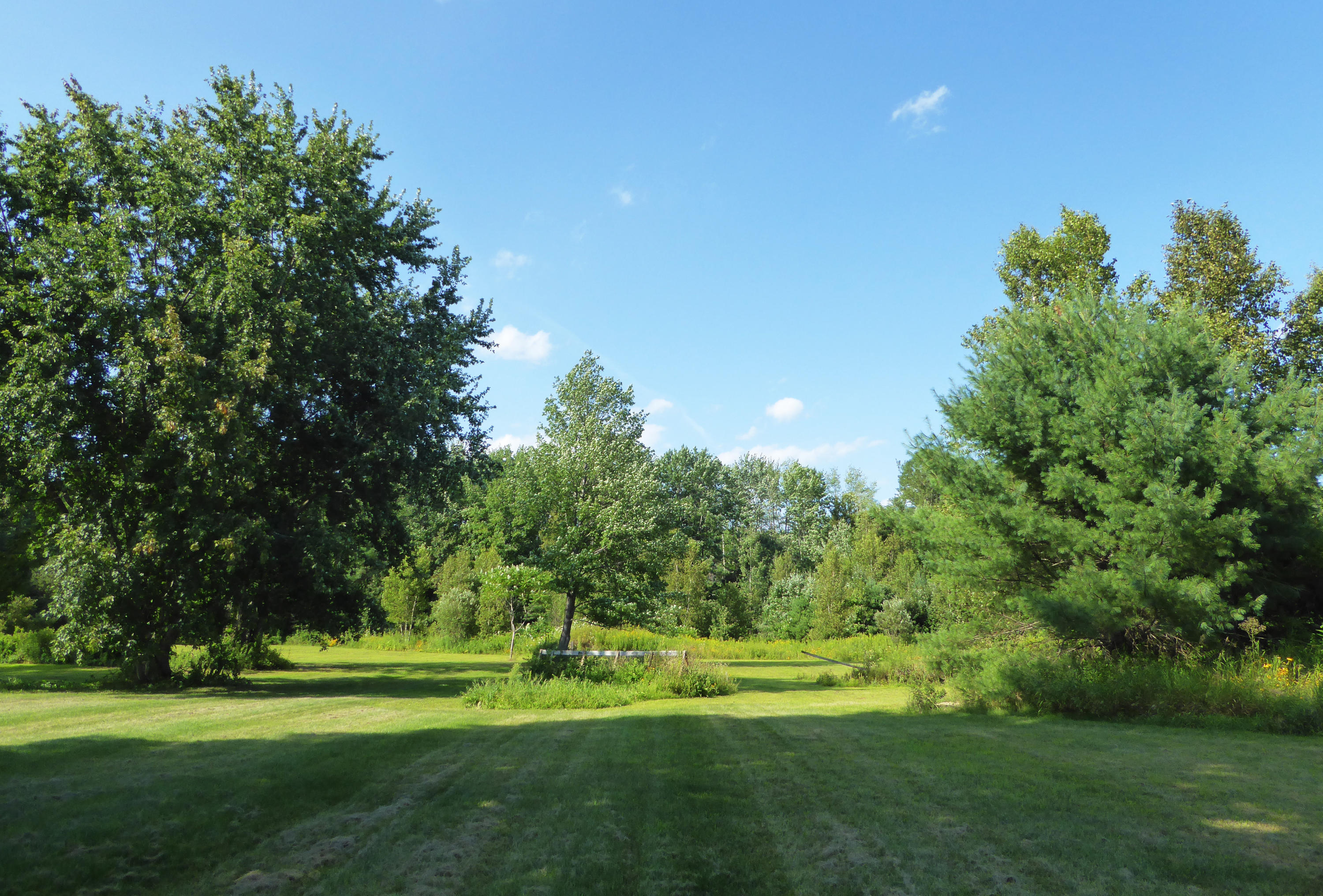 321 New Portland Road North Anson, ME 04958 - Photo 12 of 41 Back Yard