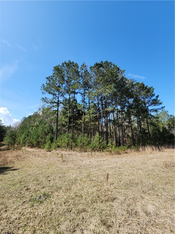 1012 Star Ranch Road Brunswick, GA 31523 - Photo 11 of 43