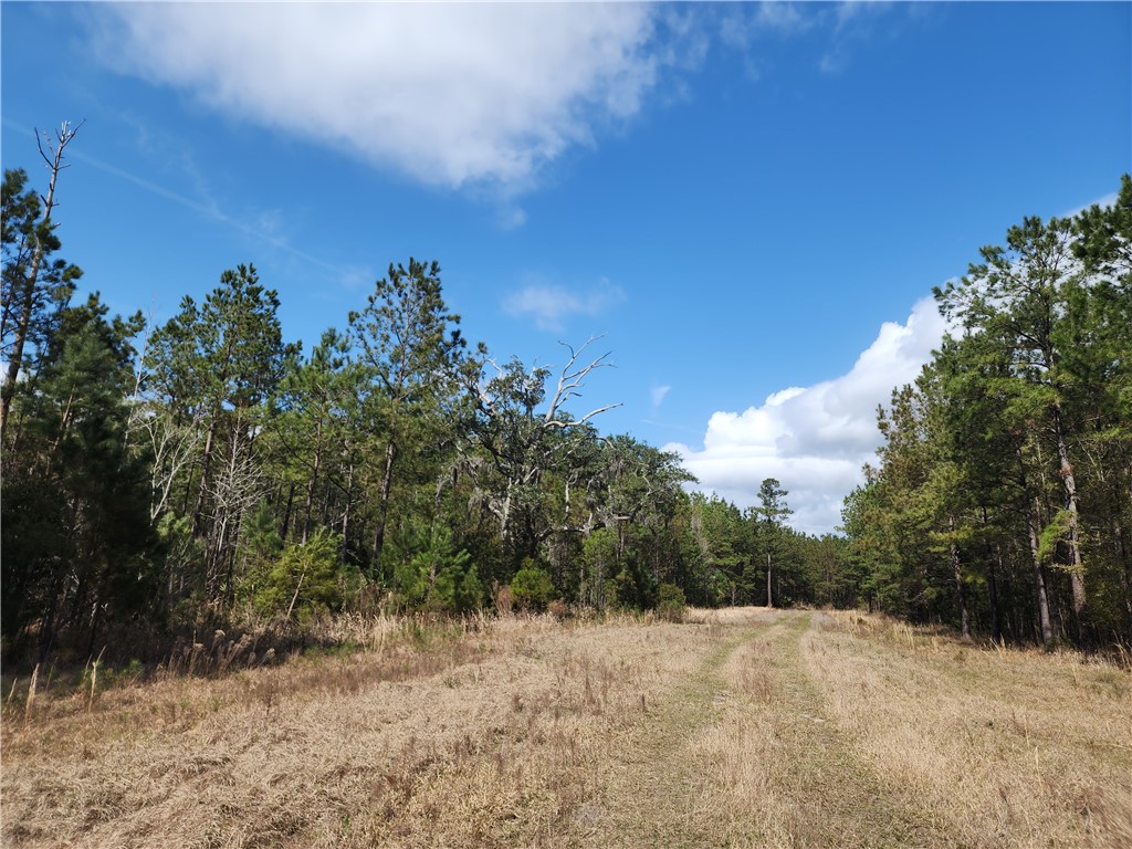 1012 Star Ranch Road Brunswick, GA 31523 - Photo 13 of 43