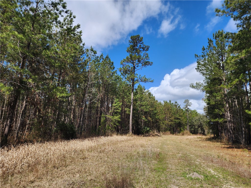 1012 Star Ranch Road Brunswick, GA 31523 - Photo 14 of 43