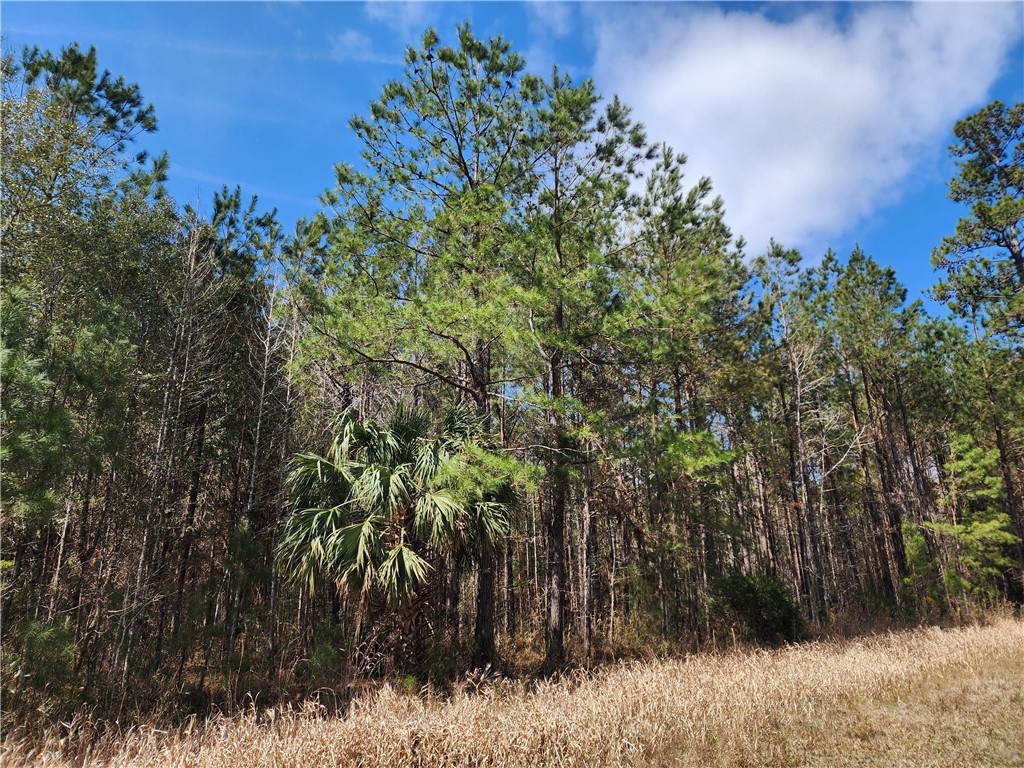 1012 Star Ranch Road Brunswick, GA 31523 - Photo 15 of 43