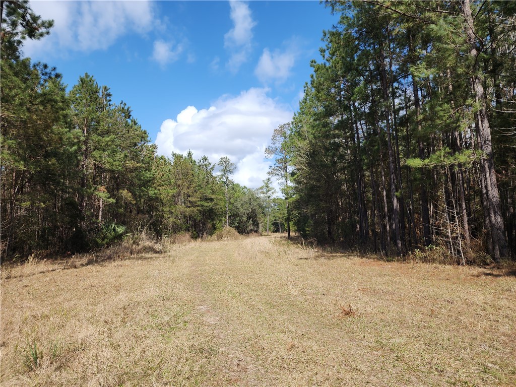 1012 Star Ranch Road Brunswick, GA 31523 - Photo 16 of 43