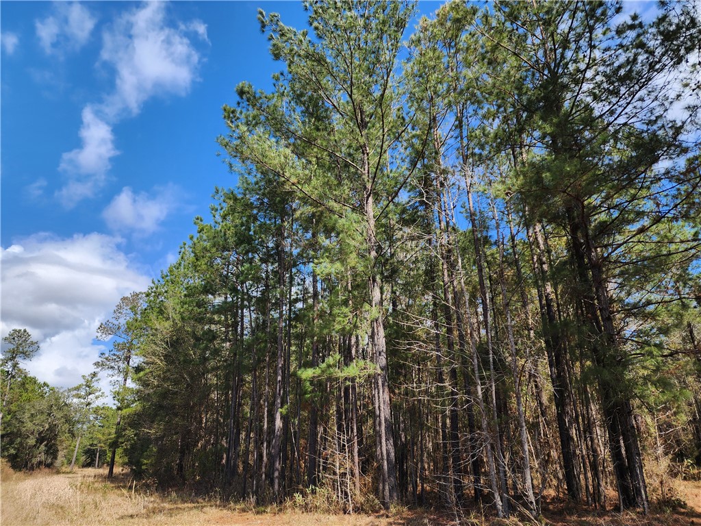 1012 Star Ranch Road Brunswick, GA 31523 - Photo 17 of 43