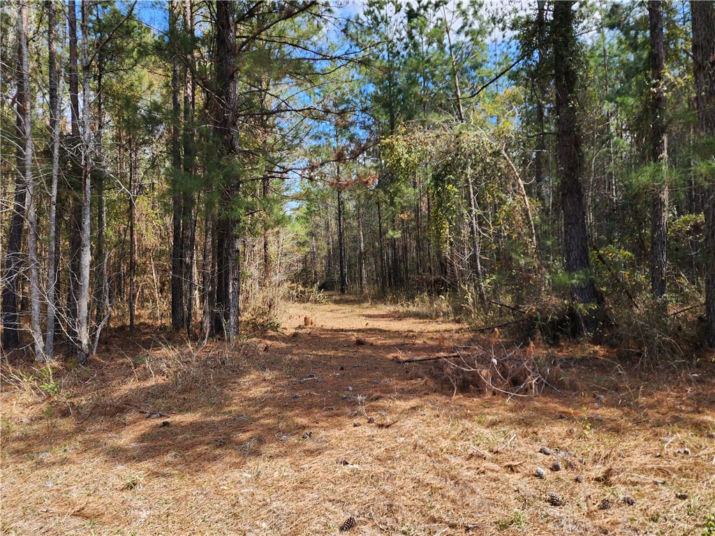 1012 Star Ranch Road Brunswick, GA 31523 - Photo 18 of 43