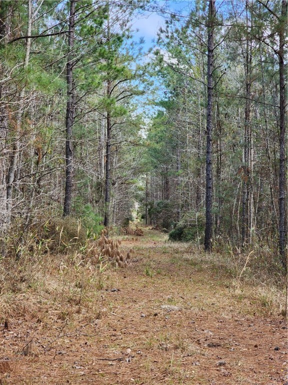 1012 Star Ranch Road Brunswick, GA 31523 - Photo 19 of 43