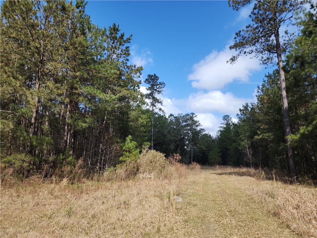 1012 Star Ranch Road Brunswick, GA 31523 - Photo 21 of 43