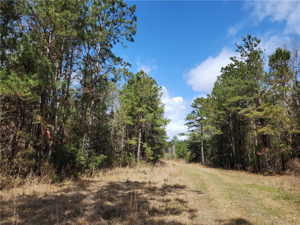 1012 Star Ranch Road Brunswick, GA 31523 - Photo 22 of 43