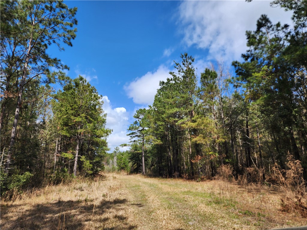 1012 Star Ranch Road Brunswick, GA 31523 - Photo 23 of 43