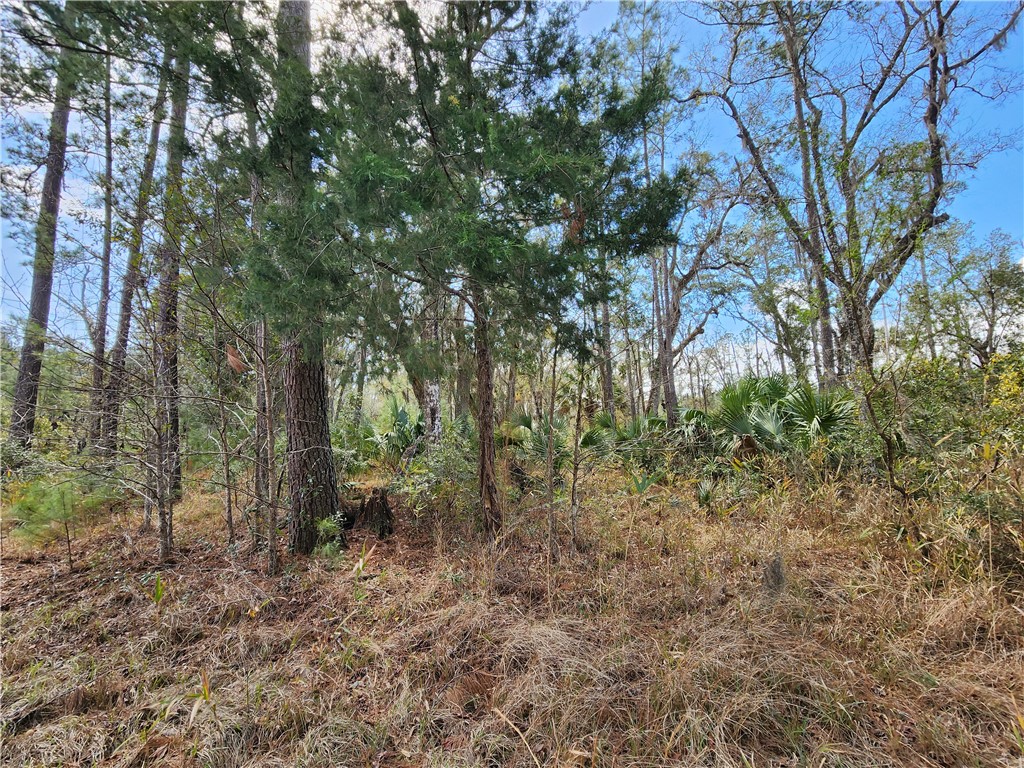 1012 Star Ranch Road Brunswick, GA 31523 - Photo 25 of 43