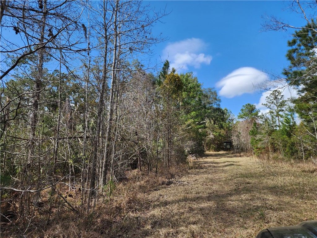 1012 Star Ranch Road Brunswick, GA 31523 - Photo 26 of 43