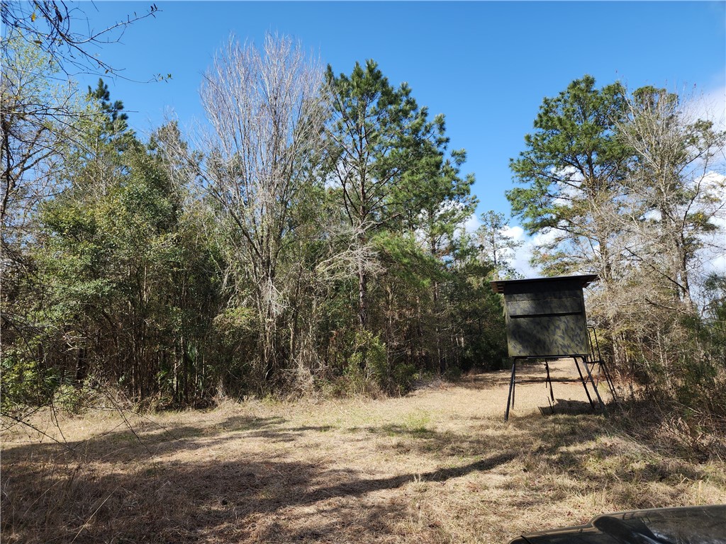 1012 Star Ranch Road Brunswick, GA 31523 - Photo 27 of 43