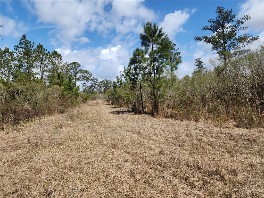 1012 Star Ranch Road Brunswick, GA 31523 - Photo 28 of 43