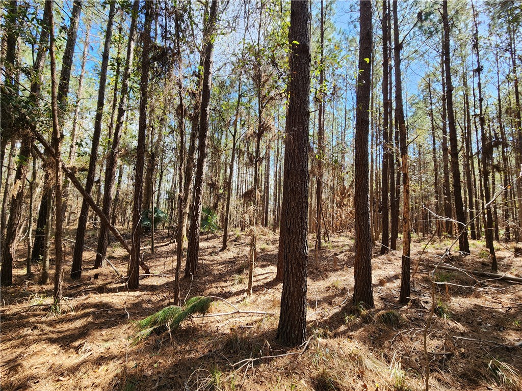 1012 Star Ranch Road Brunswick, GA 31523 - Photo 30 of 43