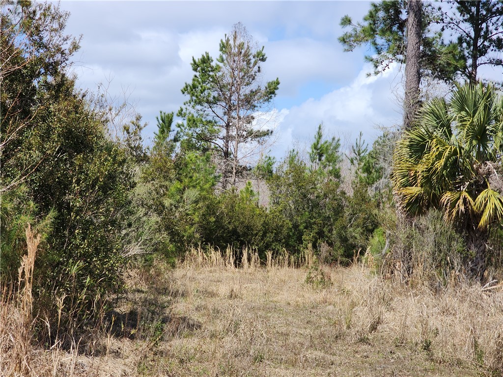 1012 Star Ranch Road Brunswick, GA 31523 - Photo 32 of 43