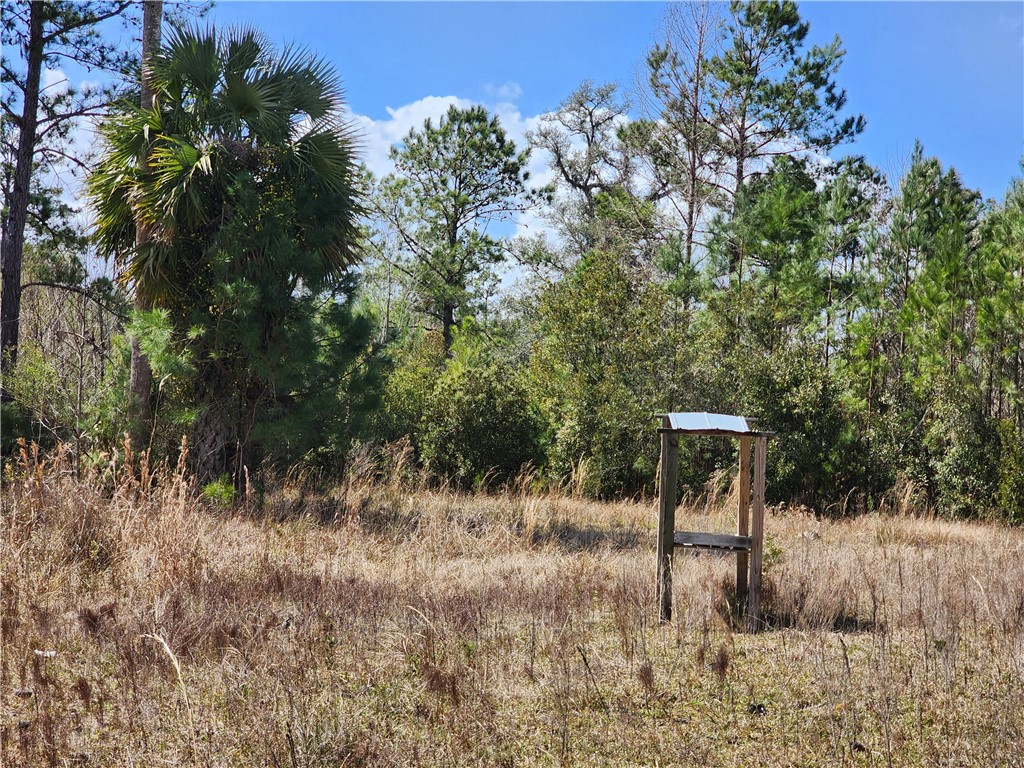 1012 Star Ranch Road Brunswick, GA 31523 - Photo 33 of 43