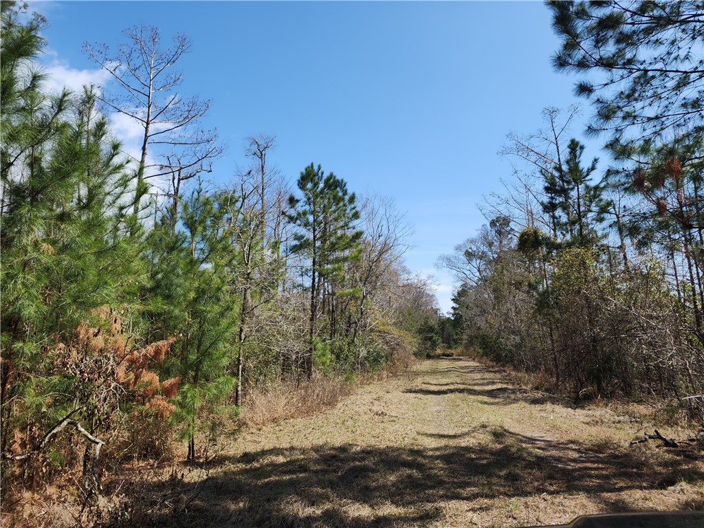 1012 Star Ranch Road Brunswick, GA 31523 - Photo 34 of 43