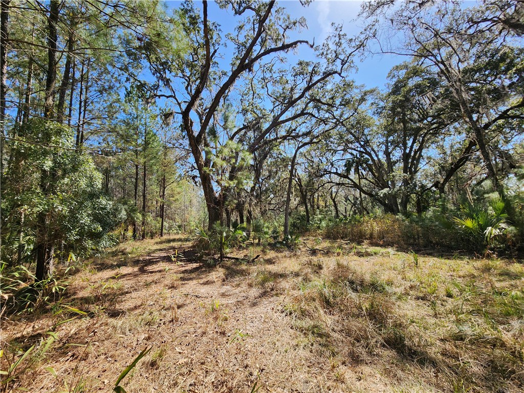 1012 Star Ranch Road Brunswick, GA 31523 - Photo 38 of 43