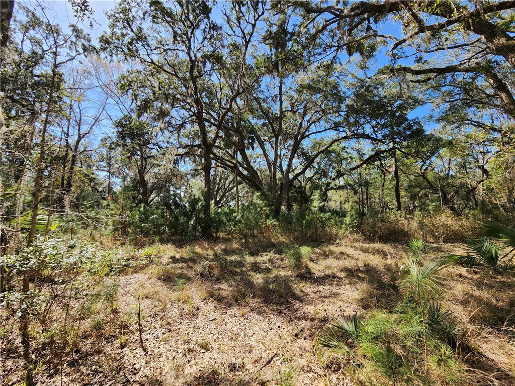 1012 Star Ranch Road Brunswick, GA 31523 - Photo 40 of 43