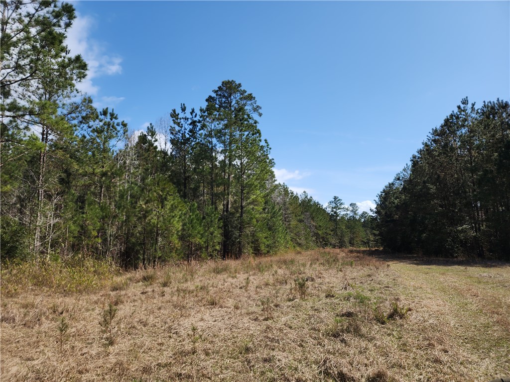 1012 Star Ranch Road Brunswick, GA 31523 - Photo 42 of 43