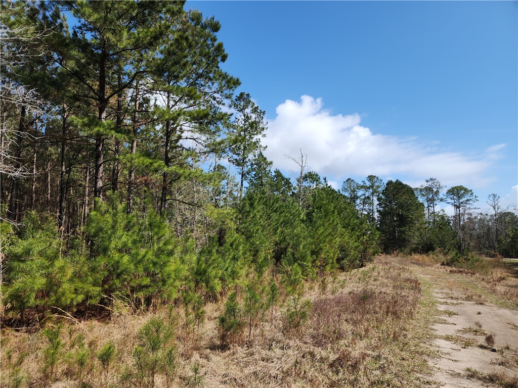 1012 Star Ranch Road Brunswick, GA 31523 - Photo 43 of 43