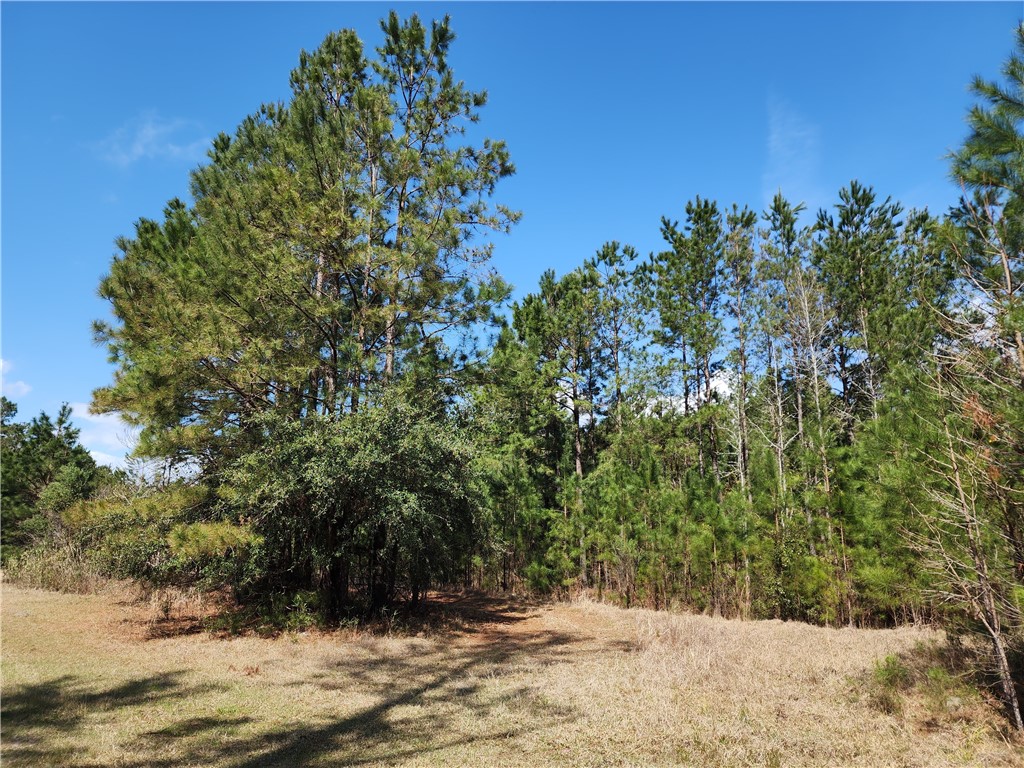 1012 Star Ranch Road Brunswick, GA 31523 - Photo 5 of 43