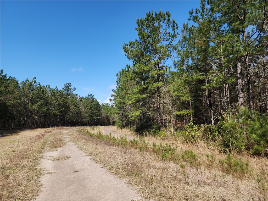 1012 Star Ranch Road Brunswick, GA 31523 - Photo 6 of 43