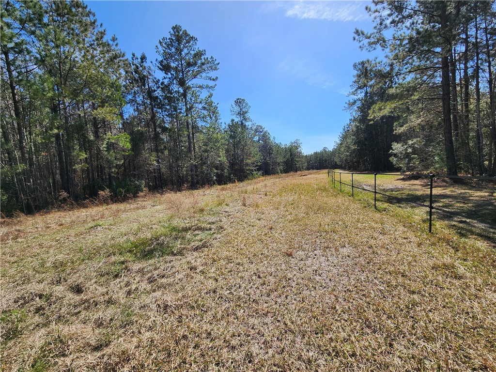 1012 Star Ranch Road Brunswick, GA 31523 - Photo 7 of 43