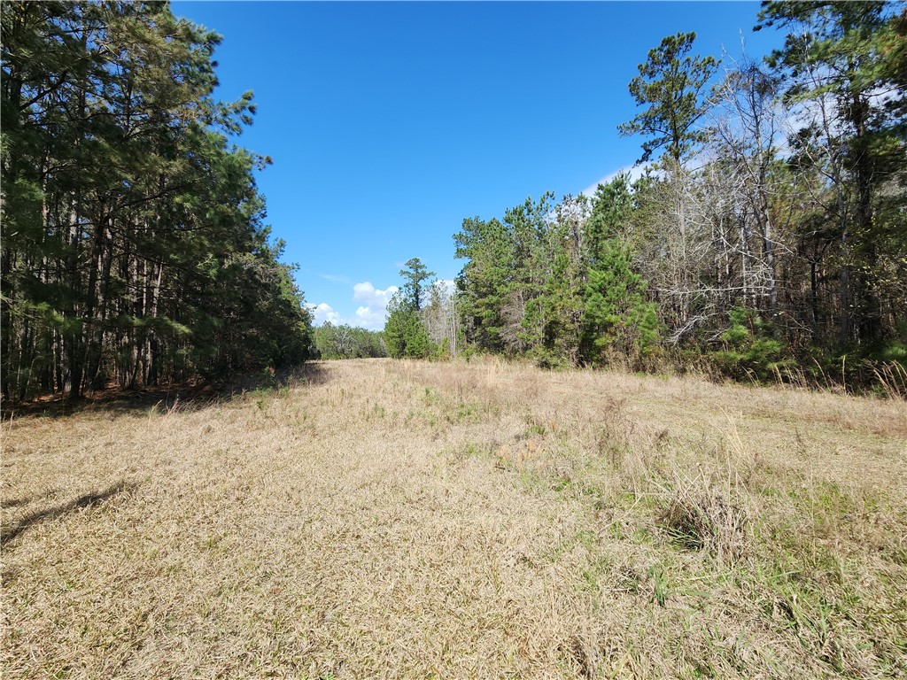 1012 Star Ranch Road Brunswick, GA 31523 - Photo 8 of 43