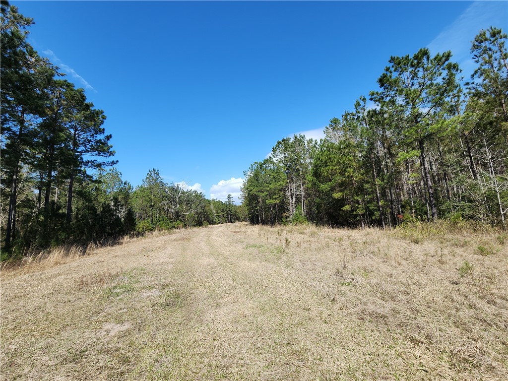 1012 Star Ranch Road Brunswick, GA 31523 - Photo 9 of 43