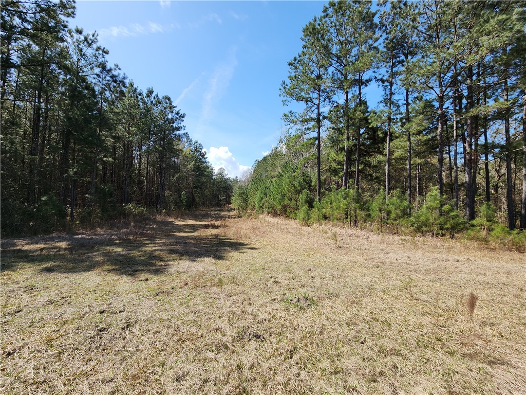 1012 Star Ranch Road Brunswick, GA 31523 - Photo 10 of 43