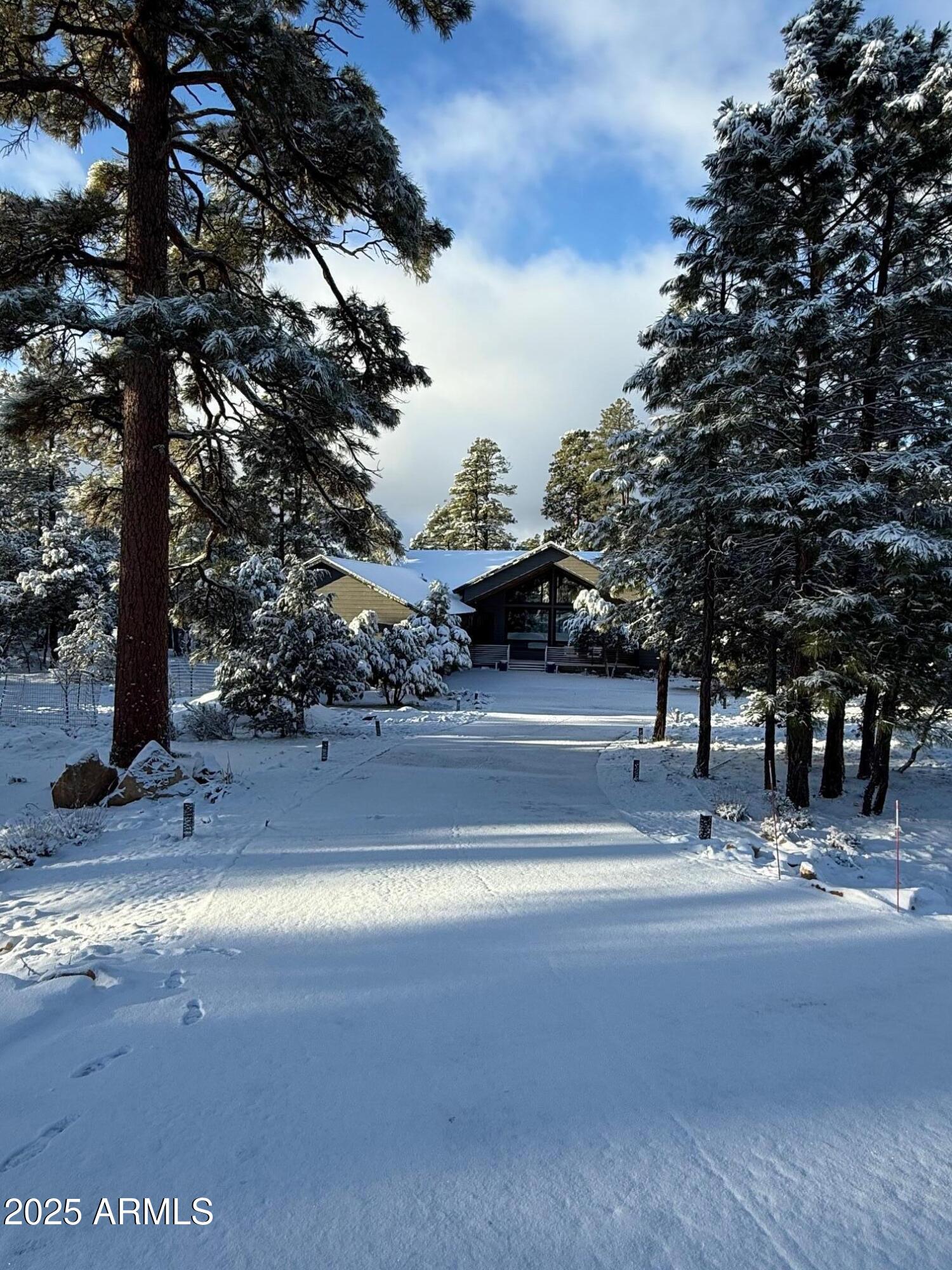 3429 Ponderosa Loop Heber, AZ 85928 - Photo 3 of 75 a view of street with large trees