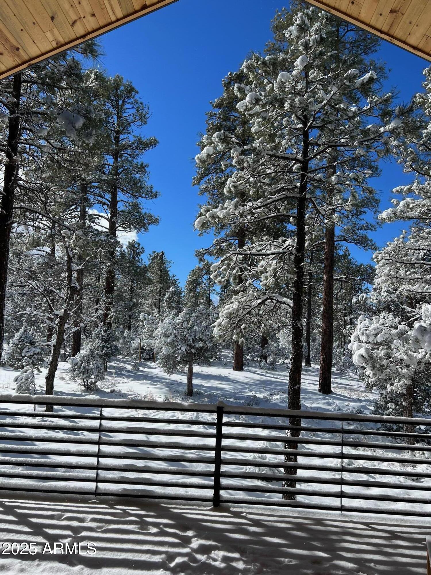 3429 Ponderosa Loop Heber, AZ 85928 - Photo 50 of 75 IMG_3294