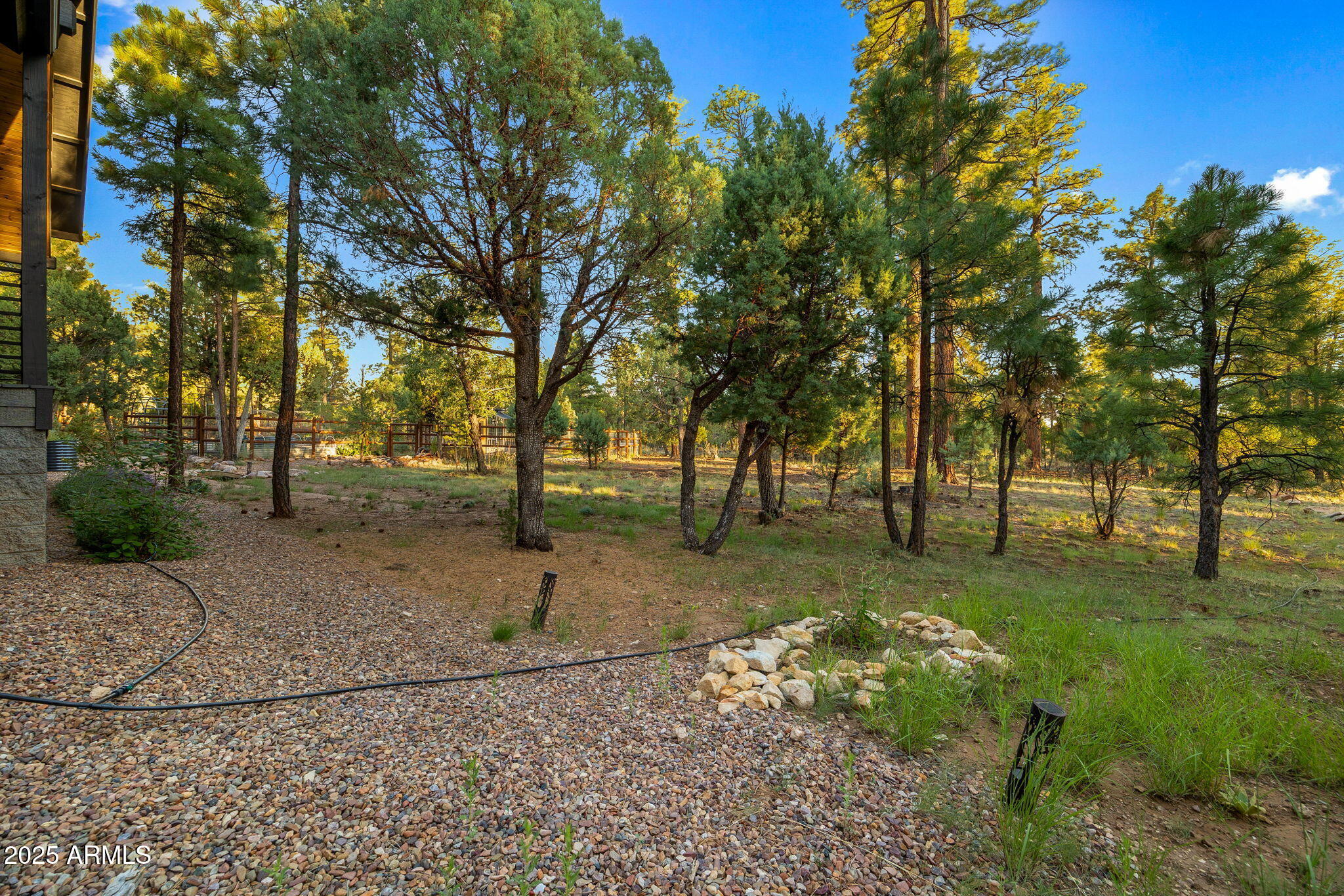 3429 Ponderosa Loop Heber, AZ 85928 - Photo 58 of 75 a view of a yard with a tree