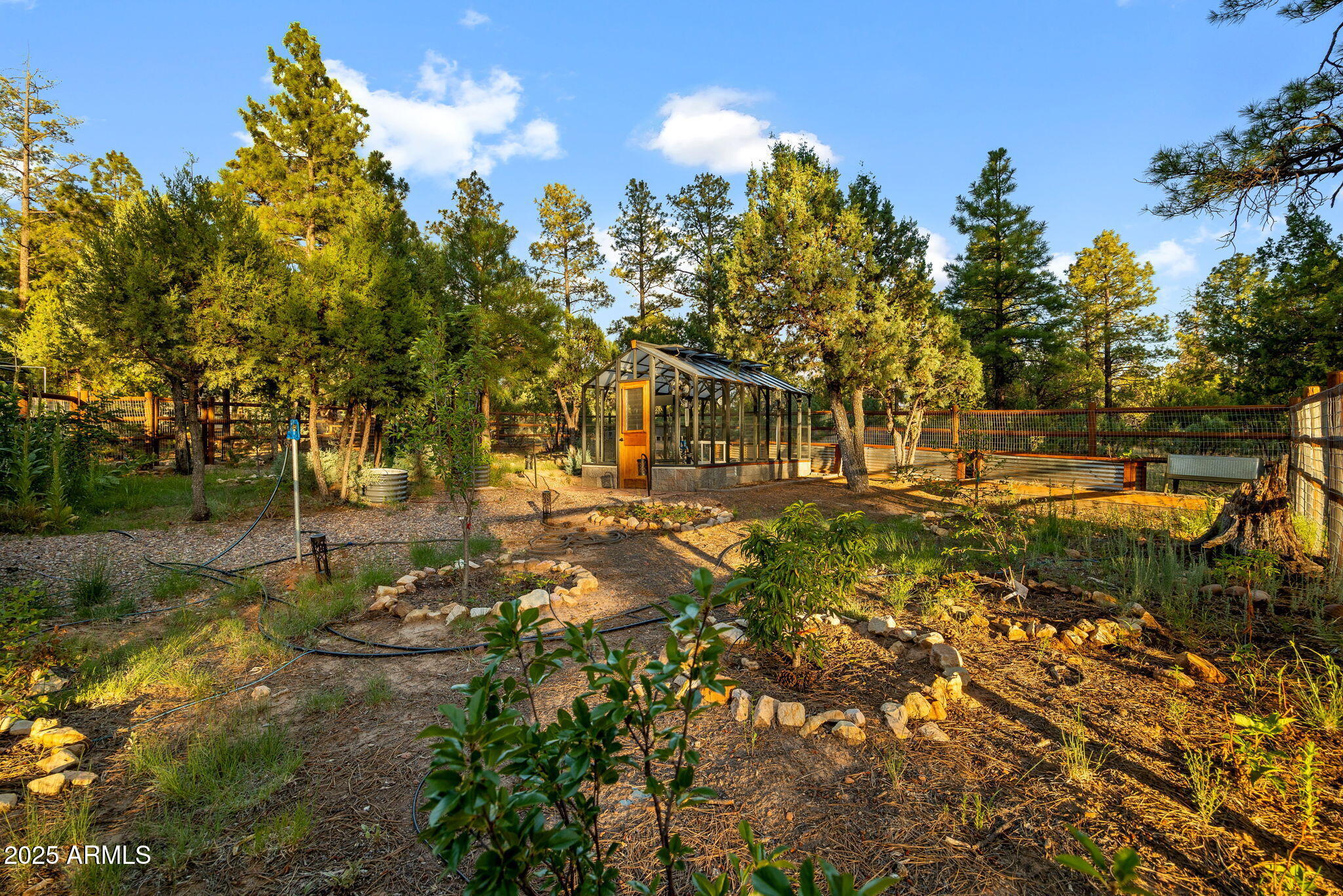 3429 Ponderosa Loop Heber, AZ 85928 - Photo 62 of 75 a view of outdoor space with trees