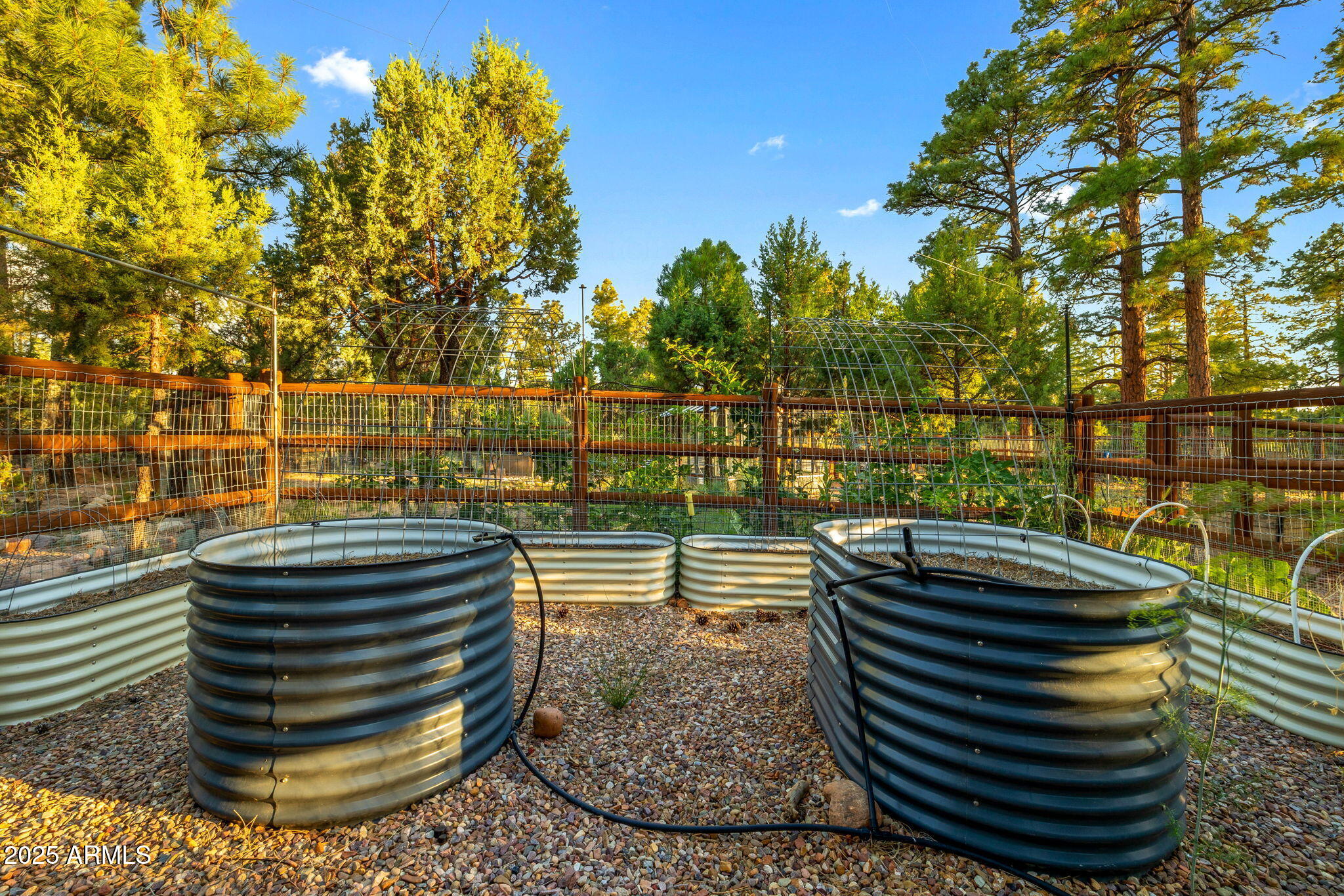 3429 Ponderosa Loop Heber, AZ 85928 - Photo 65 of 75 3429PonderosaLoop-HeberOvergaard-AZ-54