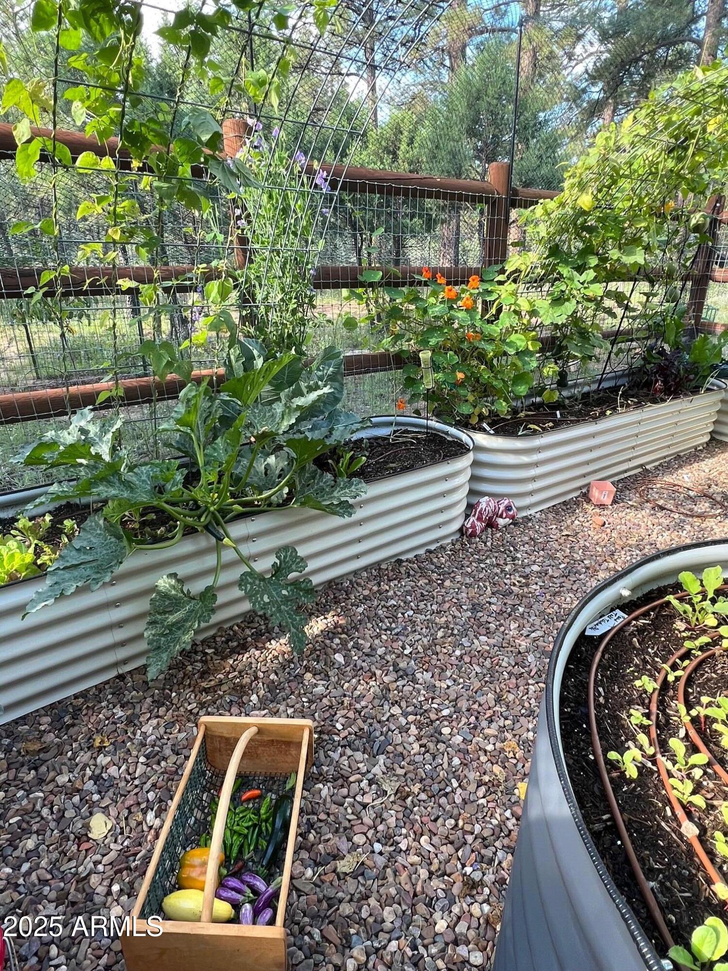 3429 Ponderosa Loop Heber, AZ 85928 - Photo 66 of 75 IMG_2212