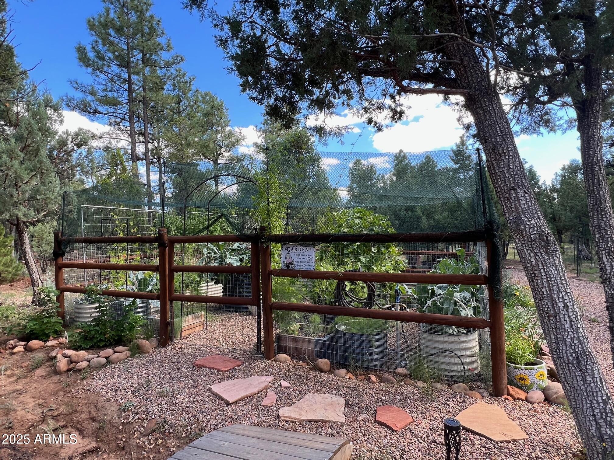 3429 Ponderosa Loop Heber, AZ 85928 - Photo 67 of 75 a view of a wooden bridge