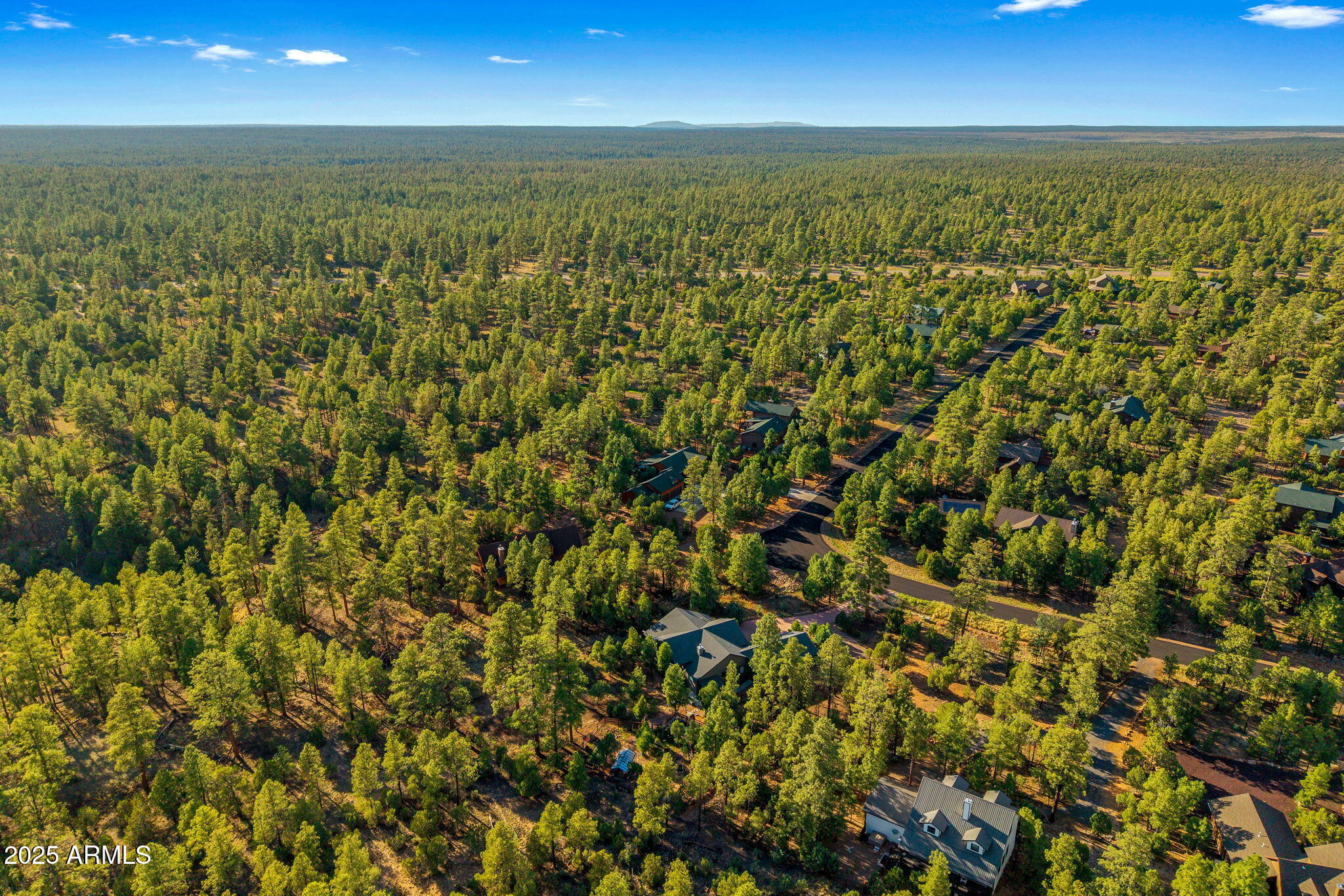 3429 Ponderosa Loop Heber, AZ 85928 - Photo 72 of 75 an aerial view of residential houses with outdoor space and trees in the background
