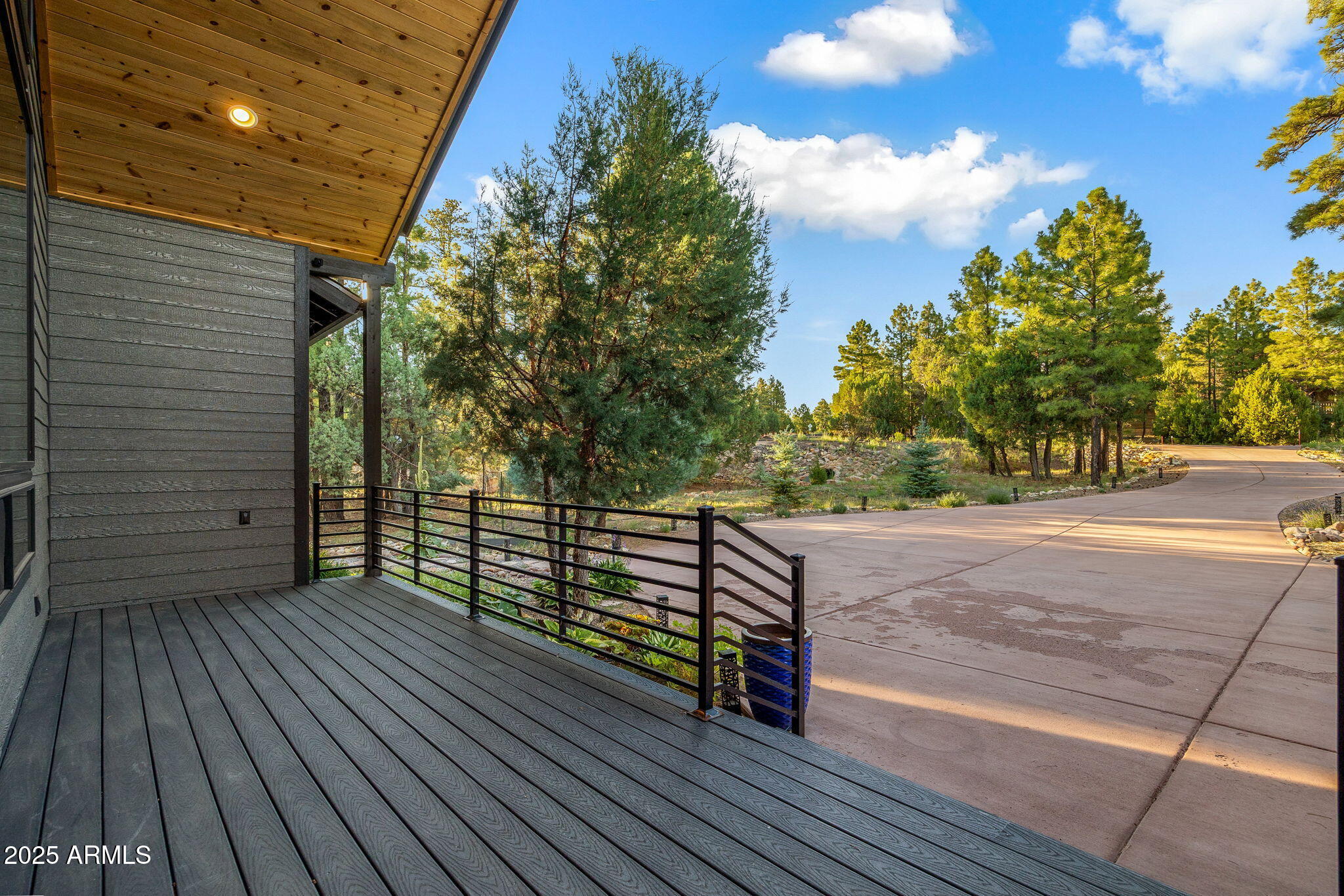 3429 Ponderosa Loop Heber, AZ 85928 - Photo 9 of 75 a view of outdoor space and deck with seating space