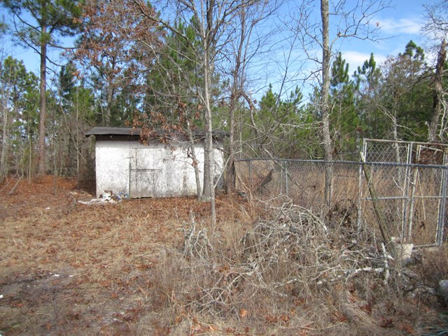 293 Pearl Bonnett Road Windsor, SC 29856 - Photo 3 of 3 Gallery Image 3