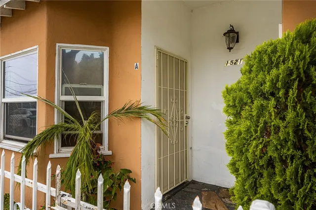 a close up of a plant in a balcony