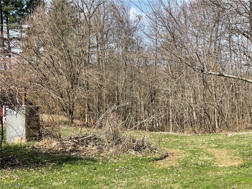 90200 Kilgore Ridge Road Scio, OH 43988 - Photo 21 of 21 Gallery Image 21