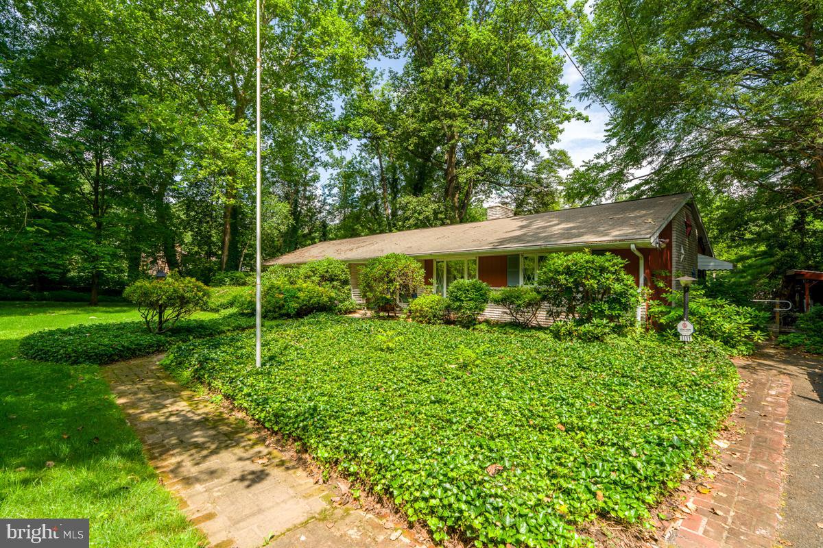 1111 Pennsy Road Pequea, PA 17565 - Photo 2 of 44 a view of a backyard with plants