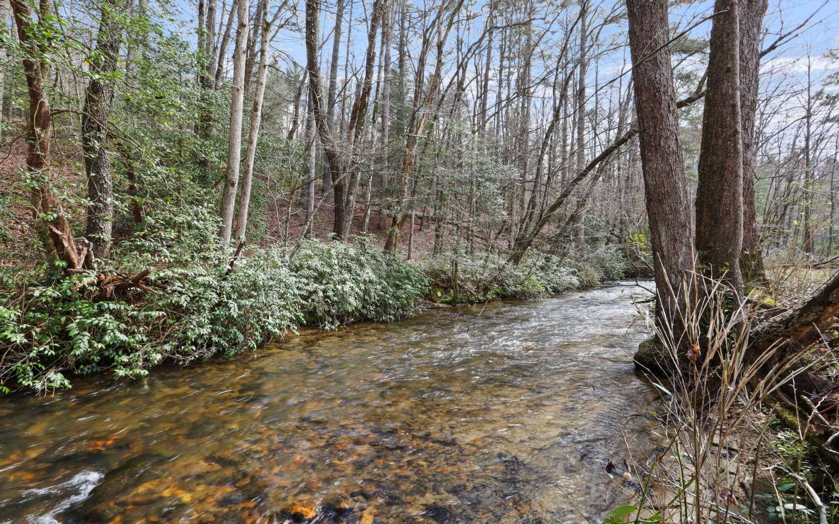 Aska Road Blue Ridge, GA 30513 - Photo 14 of 29 Additional View