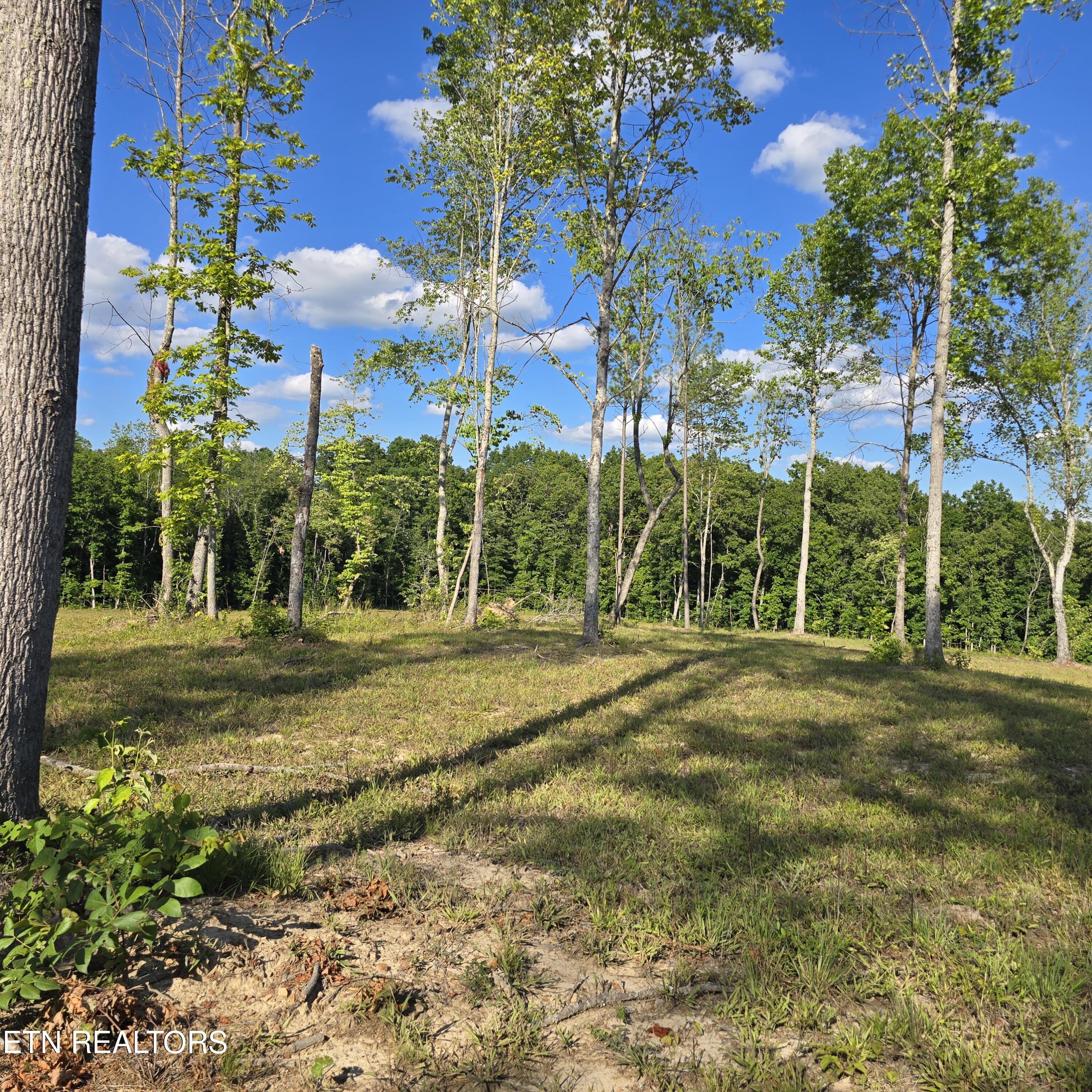 80-ac Red Hill Road Sunbright, TN 37872 - Photo 15 of 16 20260620_180406