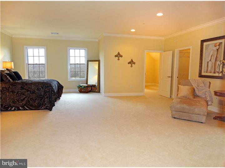 522 Swamp Road Newtown, PA 18940 - Photo 17 of 24 Master Bedroom