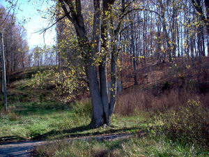 1942 Old Buddha Road Bedford, IN 47421 - Photo 3 of 7